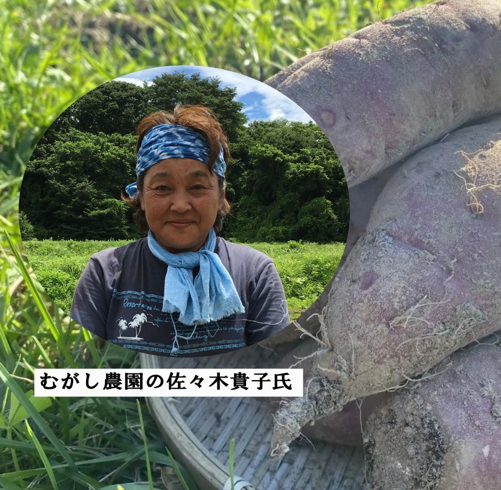 【有機JAS さつまいも/紅はるか 】有機JAS オーガニック 青森県産 無農薬 自然栽培 キュアリング（追熟）済みで甘くてトロトロ 産地直送 【一部地域以外は送料無料】