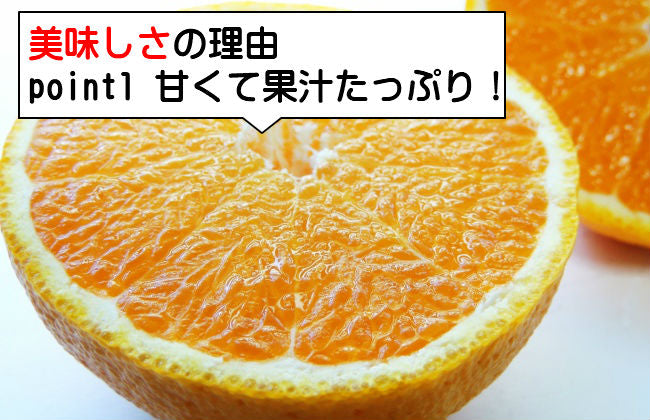 味香ん園の不知火（デコポン）5kg 有機減農薬 愛媛 産地直送 甘くて味の濃い みかんえん　皮はマーマレードやアロマバスにも！美味しいみかん デコポン