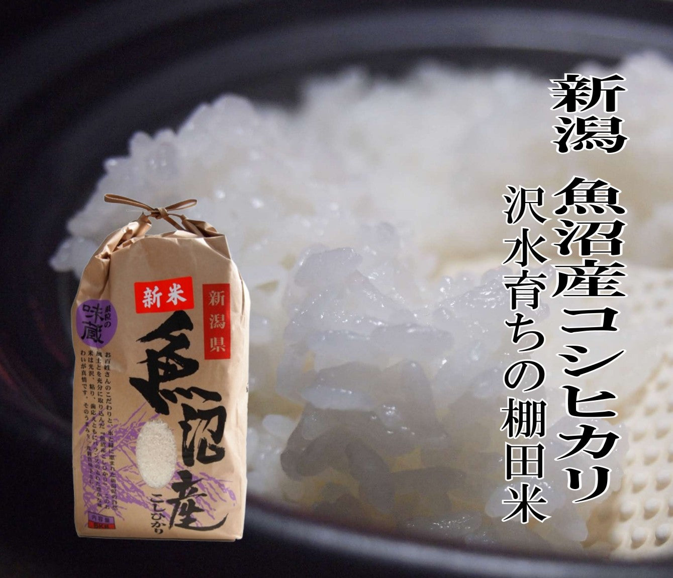 冷めても美味しいふっくら、もっちり、つやつやのお米  新潟産  魚沼こしひかり/白米 3kg、5kg、10kg 令和7年度産 沢水育ちの棚田米 新潟産 特別栽培 産地直送