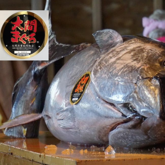 青森県 大間の天然本まぐろ 赤身、中トロ、大トロのセットー晩酌と食べ比べの2種類