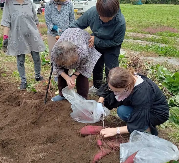【有機JAS さつまいも/紅はるか 】有機JAS オーガニック 青森県産 無農薬 自然栽培 キュアリング（追熟）済みで甘くてトロトロ 産地直送 【一部地域以外は送料無料】
