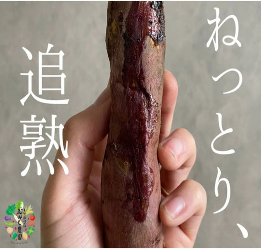 【有機JAS さつまいも/紅はるか 】有機JAS オーガニック 青森県産 無農薬 自然栽培 キュアリング（追熟）済みで甘くてトロトロ 産地直送 【一部地域以外は送料無料】