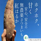 【有機JAS さつまいも/紅はるか 】有機JAS オーガニック 青森県産 無農薬 自然栽培 キュアリング（追熟）済みで甘くてトロトロ 産地直送 【一部地域以外は送料無料】