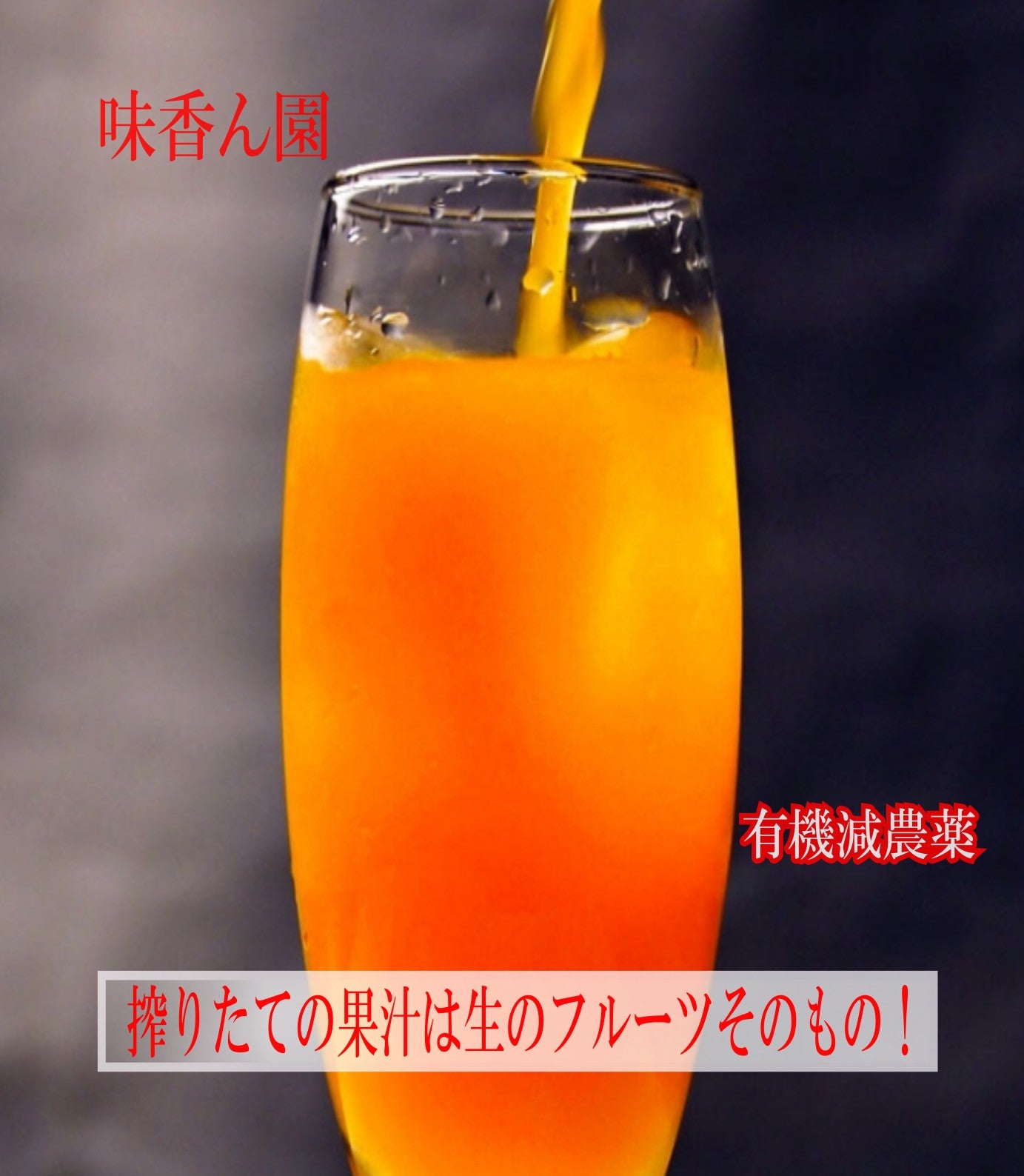 夏・お中元ギフト 果汁100％ ストレートジュース 720ml-4本入り 有機減農薬栽培  飲む果実 ジュース詰め合わせ  フルーツを食べてる美味しさ オレンジジュース 愛媛ミカン ジュース フルーツジュース 果物 八幡浜 4種類の柑橘