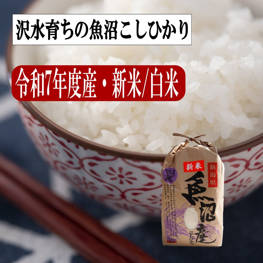 新米 令和7年度産 新潟産  魚沼こしひかり/白米 3kg、5kg、10kg 沢水育ちの棚田米 特別栽培 甘くてツヤツヤ
