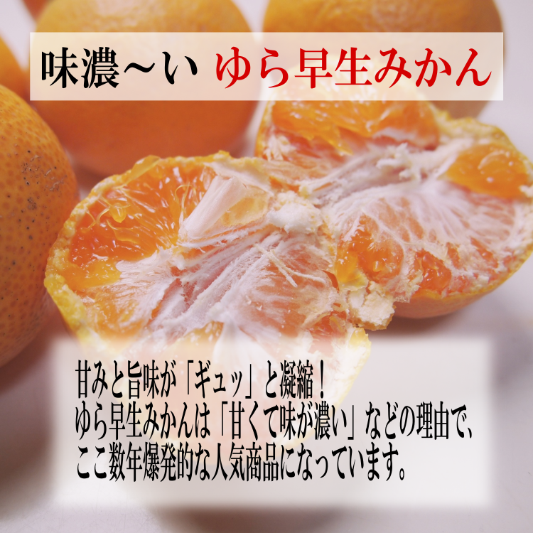 10月末よりスタート！  甘くてトロットロ  ゆら早生みかん3kg 【送料無料/一部地域は別】甘い 温州みかん 高糖度 エコファーマー 減農薬 高糖度 有田みかん リピート率NO1  産地直送