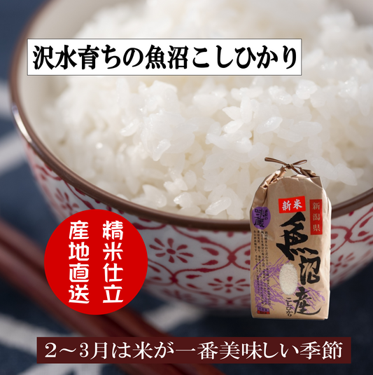 今シーズンは終了しました！沢水育ちの魚沼コシヒカリ/棚田米 令和6年産 新潟産 特別栽培 産地直送