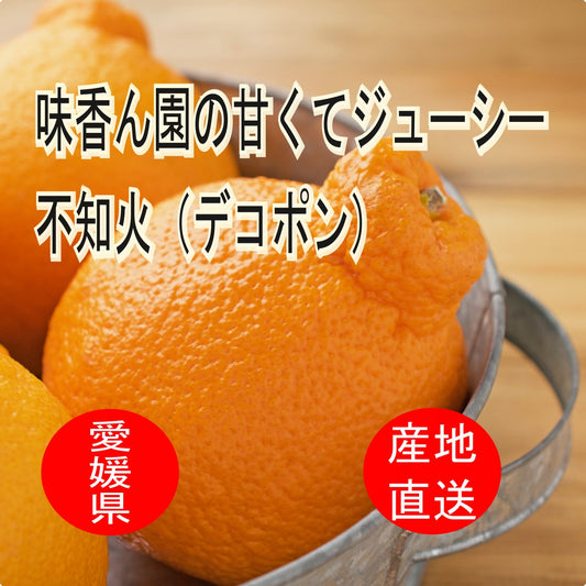 甘くてジューシー！味香ん園の不知火（デコポン）特選  愛媛 産地直送 甘くて味の濃い みかんえん マーマレードやアロマバスにも！美味しいみかん デコポン