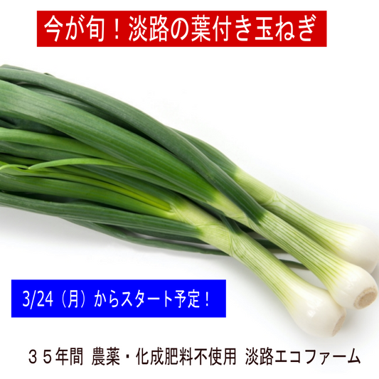 3/25（火）よりスタート予定！今が旬！淡路島の無農薬葉付き玉ねぎ 期日・数量限定 【送料無料】（北海道・沖縄・離島を除く）甘くて葉も食べられる 有機栽培歴３５年以上 玉ねぎ タマネギ たまねぎプロも認める高品質 兵庫県 産地直送 たまねぎ