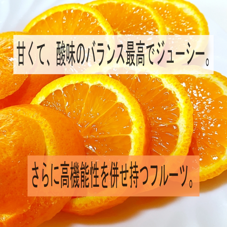 初夏にたどり着く スーパー柑橘-農６（のうろく） 岩武果樹園の高機能みかん 期日指定・数量限定 お早めにどうぞ