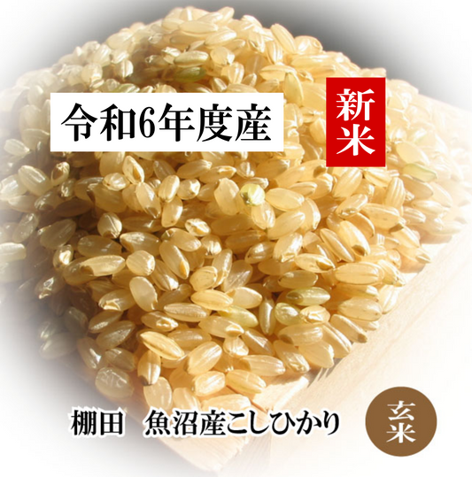 幻の棚田米があなたの食卓へ。令和6年産、新潟産沢水育ちの魚沼コシヒカリ/棚田米。一粒一粒に、大自然の恵みが凝縮 産地直送