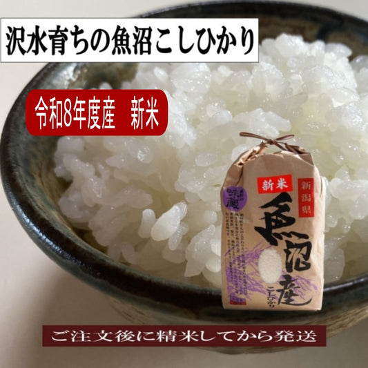 令和8年度産 沢水育ちの魚沼コシヒカリ/棚田米  新潟産 特別栽培 産地直送