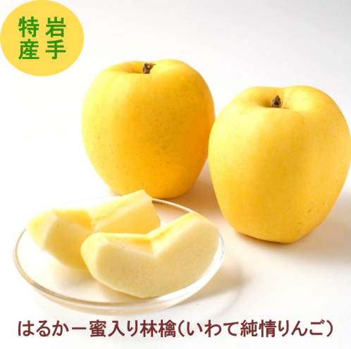 いわて純情りんご 蜜入りはるか/ご自宅用3kg、5kg   大人気の蜜入り林檎　爽やかな香りと甘味 産地直送  甘くて酸味が少ない (コピー)