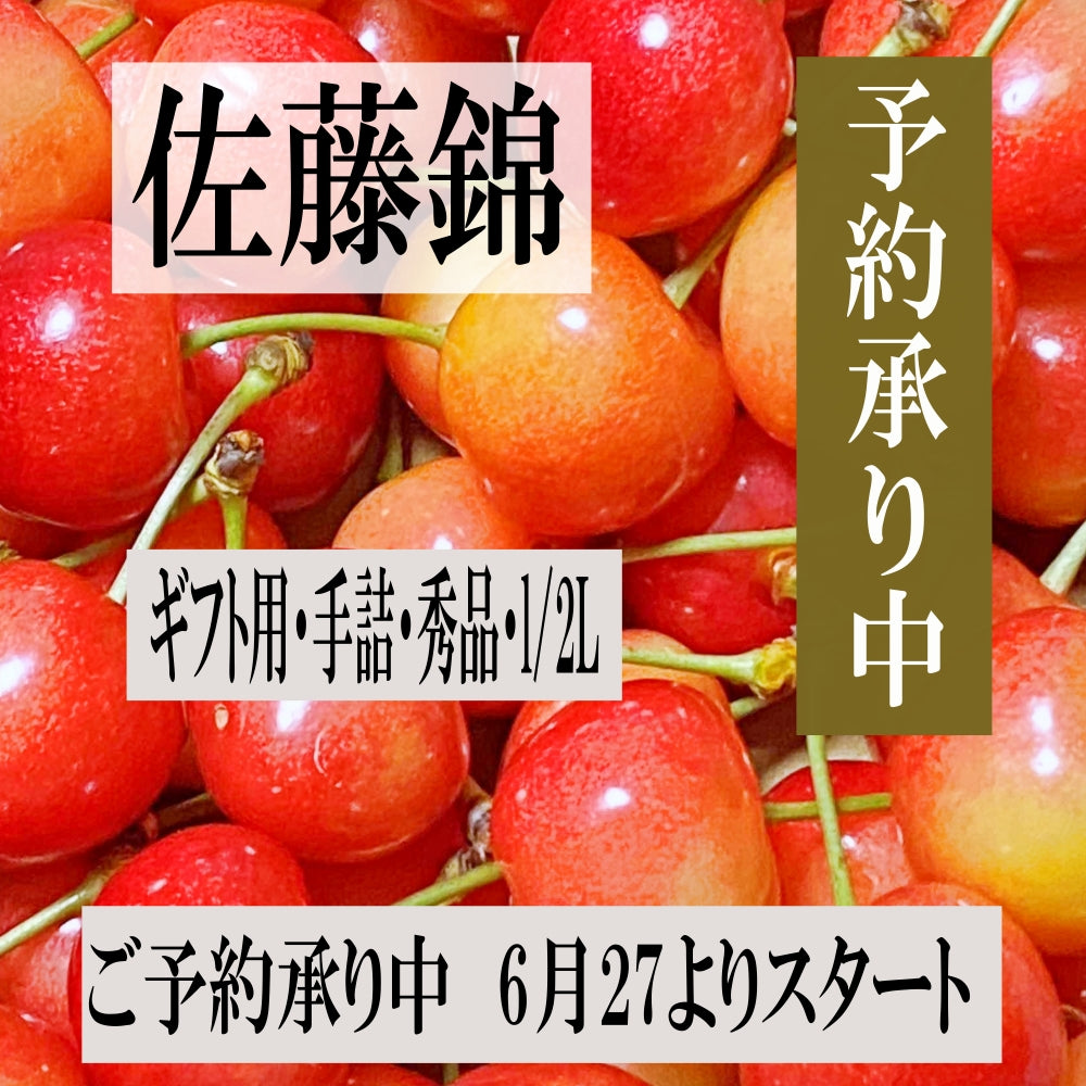 青森県産 さくらんぼ 佐藤錦 秀品 1kg L～2Lサイズ 農家直送 お中元 ギフト 83歳現役農家が育てた 数量限定 20年で最高の出来