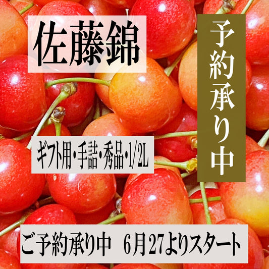 青森県産 さくらんぼ 佐藤錦 秀品 1kg L～2Lサイズ 農家直送 お中元 ギフト 83歳現役農家が育てた 数量限定 20年で最高の出来