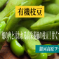 甘くて旨くて自然の恵みたっぷりの有機枝豆！銀河高原ファームの有機枝豆 1kg 群馬県 国産枝豆  有機JAS 朝採り 9月下旬まで えだまめ 枝豆 国産 有機 有機野菜 オーガニック 野菜 旬野菜 夏野菜