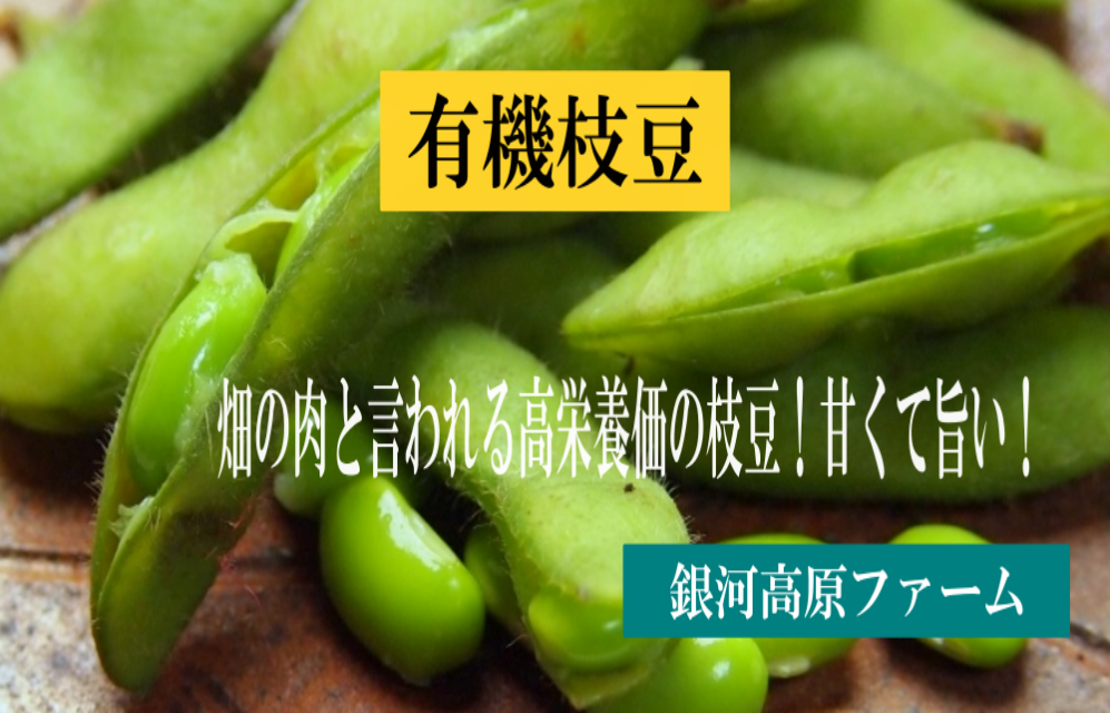 甘くて旨くて自然の恵みたっぷりの有機枝豆！銀河高原ファームの有機枝豆 1kg 群馬県 国産枝豆  有機JAS 朝採り 9月下旬まで えだまめ 枝豆 国産 有機 有機野菜 オーガニック 野菜 旬野菜 夏野菜