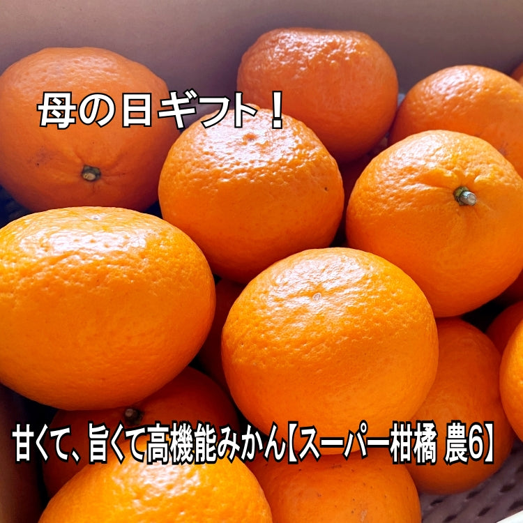 5月よりスタート予定！ 【スーパー柑橘-農６】【岩武果樹園の甘くて美味しい高機能みかん】有田みかん 高糖度 みかん ミカン 甘い ジューシー エコファーマー (減農薬）レピレチン／β-クリプトキサンチン／タンゲレチン など