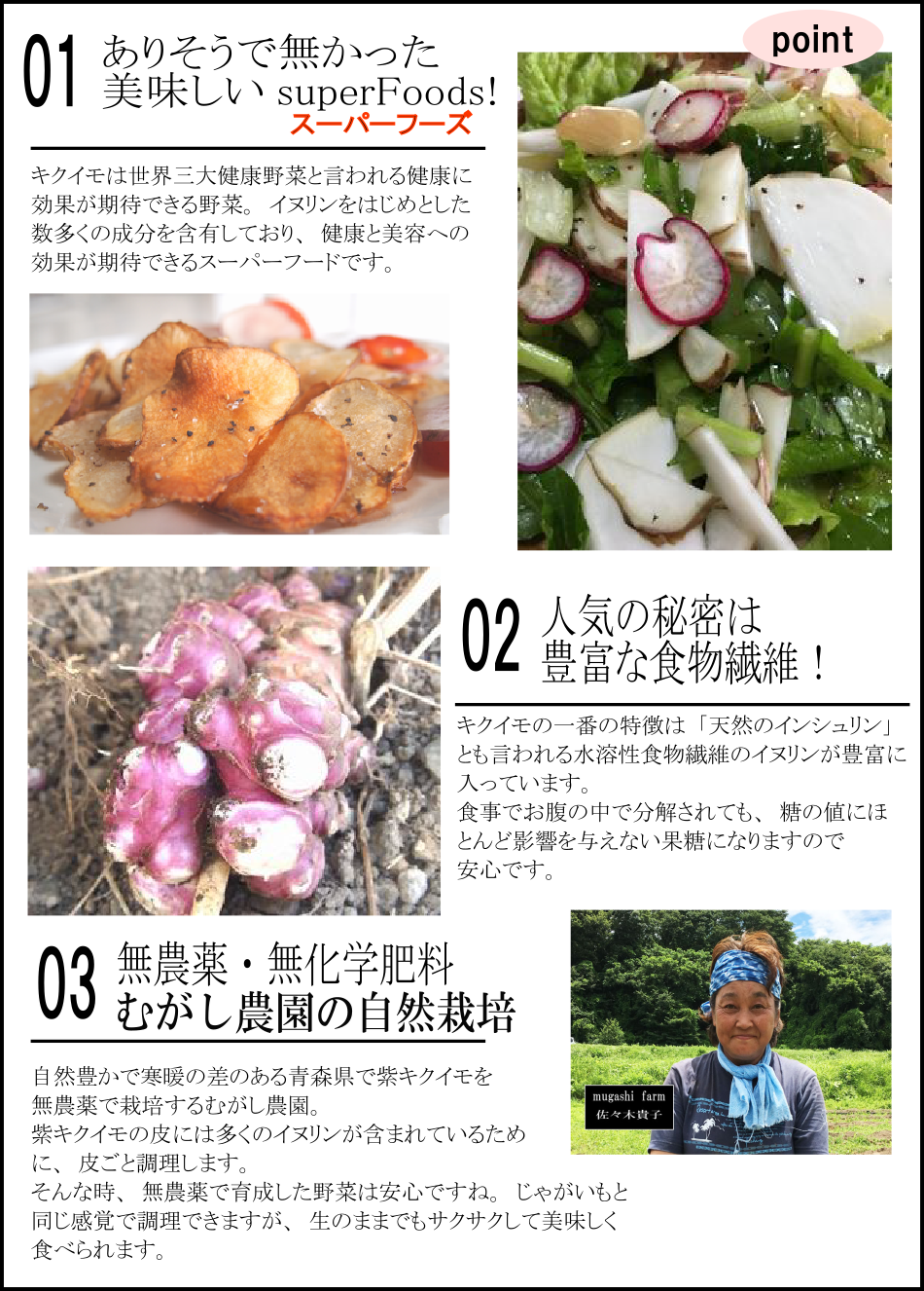 スーパーフーズ きくいも 【むがし農園の有機紫キクイモ】 青森県産 無農薬 自然栽培 イヌリン 豊富 シャキシャキ感 スーパーフーズ 土付き