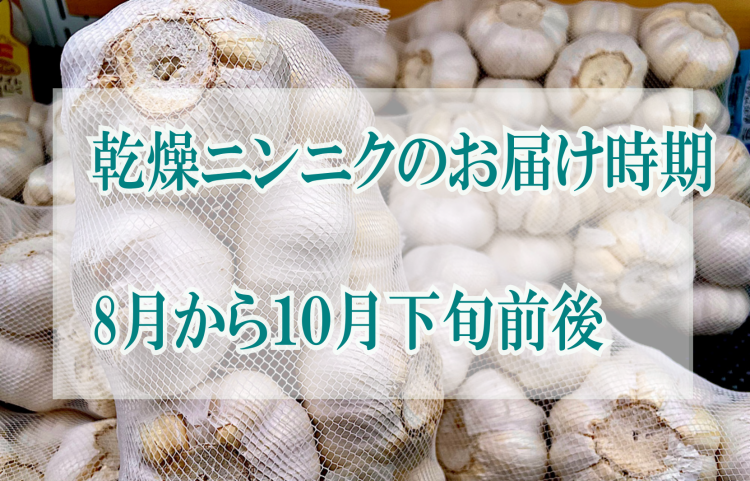 青森県産 南部町【沖田農園のにんにく1kg /Lサイズ】福地ホワイト六辺種 旨さが違う  ギフト