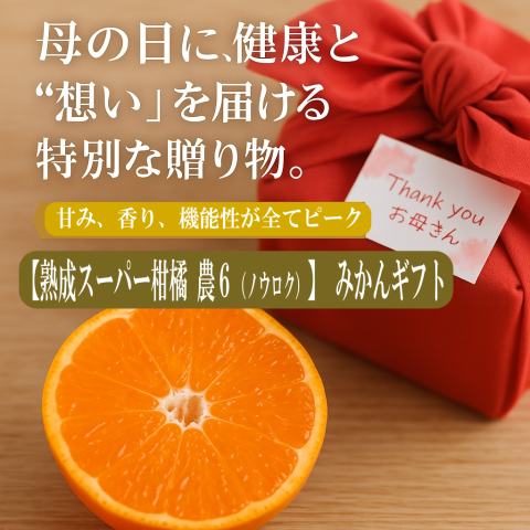 5月よりスタート予定！ 【スーパー柑橘-農６】【岩武果樹園の甘くて美味しい高機能みかん】有田みかん 高糖度 みかん ミカン 甘い ジューシー エコファーマー (減農薬）レピレチン／β-クリプトキサンチン／タンゲレチン など