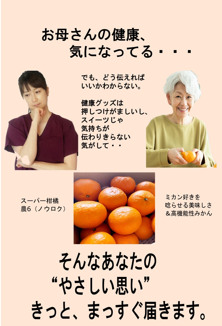 5月よりスタート予定！ 【スーパー柑橘-農６】【岩武果樹園の甘くて美味しい高機能みかん】有田みかん 高糖度 みかん ミカン 甘い ジューシー エコファーマー (減農薬）レピレチン／β-クリプトキサンチン／タンゲレチン など