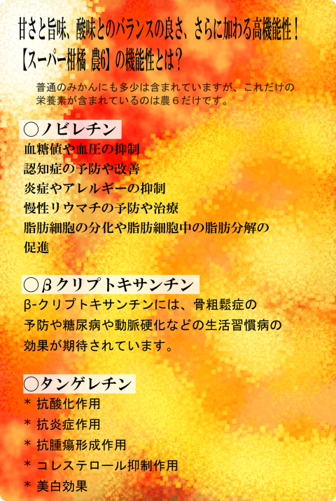 初夏にたどり着く スーパー柑橘-農６（のうろく） 岩武果樹園の高機能みかん 期日指定・数量限定 お早めにどうぞ