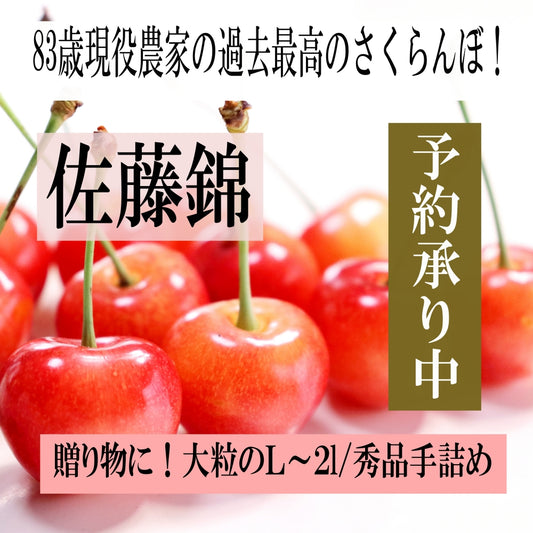 青森県産 さくらんぼ 佐藤錦 秀品 1kg L~2Lサイズ 農家直送 お中元 ギフト 83歳現役農家が育てた 数量限定 20年で最高の出来