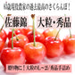 今シーズンは終了しました。夏ギフト 大切な方への贈り物 青森県産 さくらんぼ 佐藤錦 秀品 1kg L～2Lサイズ 農家直送 お中元 ギフト 83歳現役農家が育てた 数量限定 20年で最高の出来