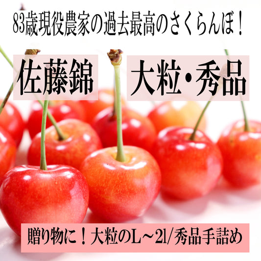 夏ギフト 大切な方への贈り物 青森県産 さくらんぼ 佐藤錦 秀品 1kg L～2Lサイズ 農家直送 お中元 ギフト 83歳現役農家が育てた 数量限定 20年で最高の出来