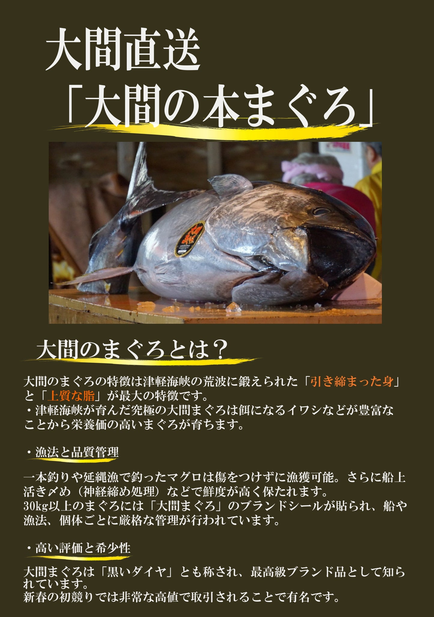 青森県 大間の天然本まぐろ 赤身、中トロ、大トロのセットー晩酌と食べ比べの2種類