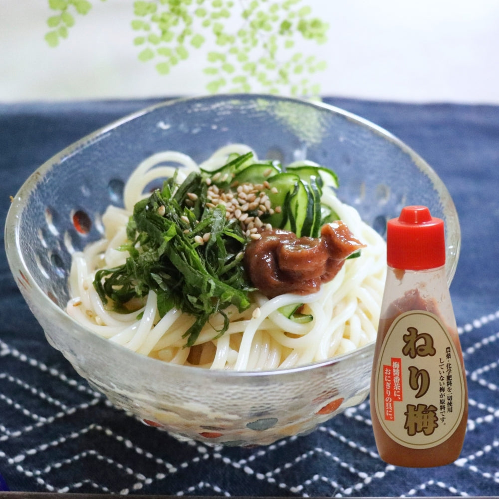 半田手延べそうめんとねり梅セット 【そうめん600ｇとねり梅2本入り】 夏バテ対策 疲労回復 さっぱり 薬味ご家庭用  プチギフト  少し太めの麺 徳島特産  無農薬南高梅のねり梅チューブ2本  メール便配送 無添加