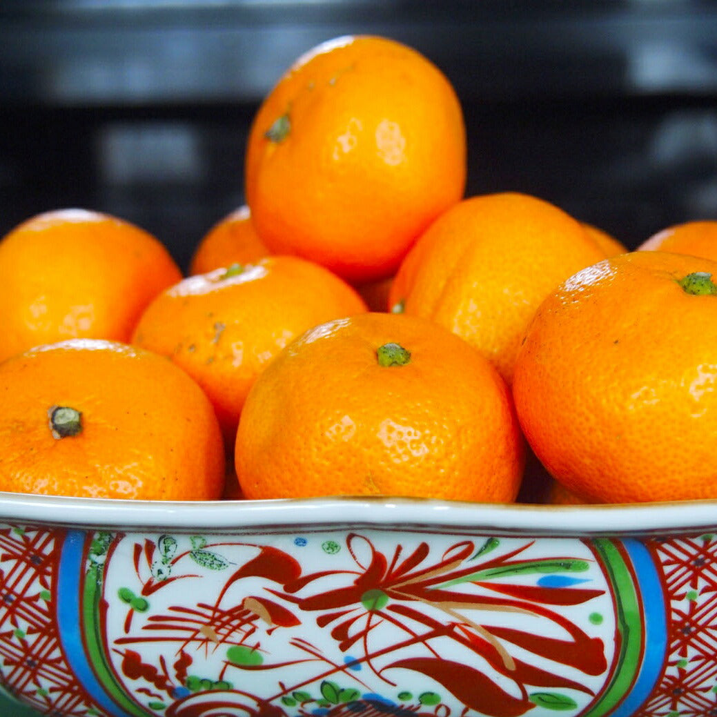 高糖度 甘い有田みかん10kg 特選 和歌山 皮ごと使えるエコファーマー  温州みかん リピート率NO1 ギフト  ギフト  減農薬  高糖度