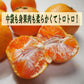 高糖度 甘い有田みかん 特選 和歌山 皮ごと使えるエコファーマー  温州みかん リピート率NO1 ギフト  ギフト  減農薬  高糖度