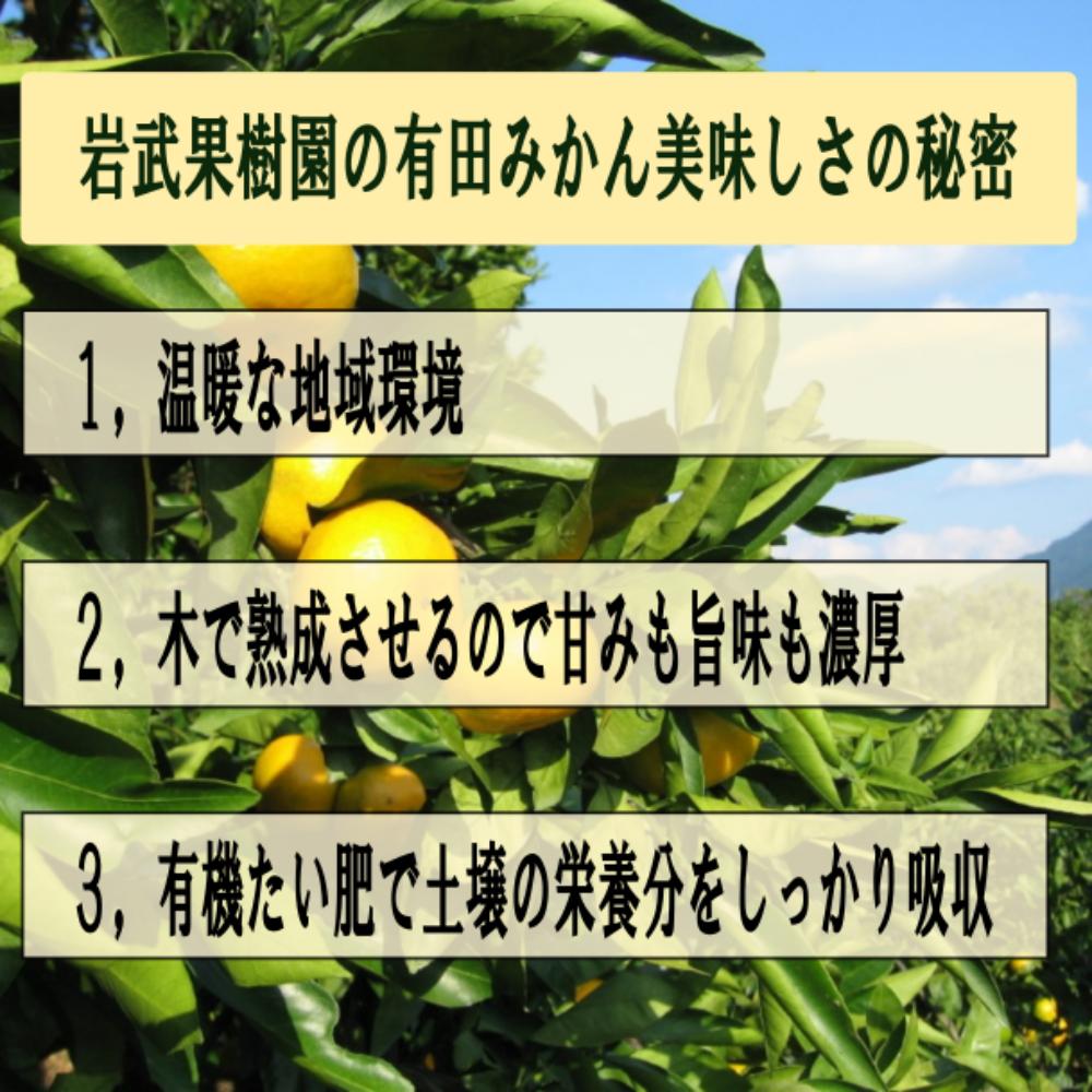 高糖度 和歌山県産 みかん 甘い有田みかん3kg  特選 皮ごと使える リピート率NO1ギフト糖度12度～ ギフト 温州みかん エコファーマー  高糖度 柔らかい　【送料無料(北海道、離島除く)】