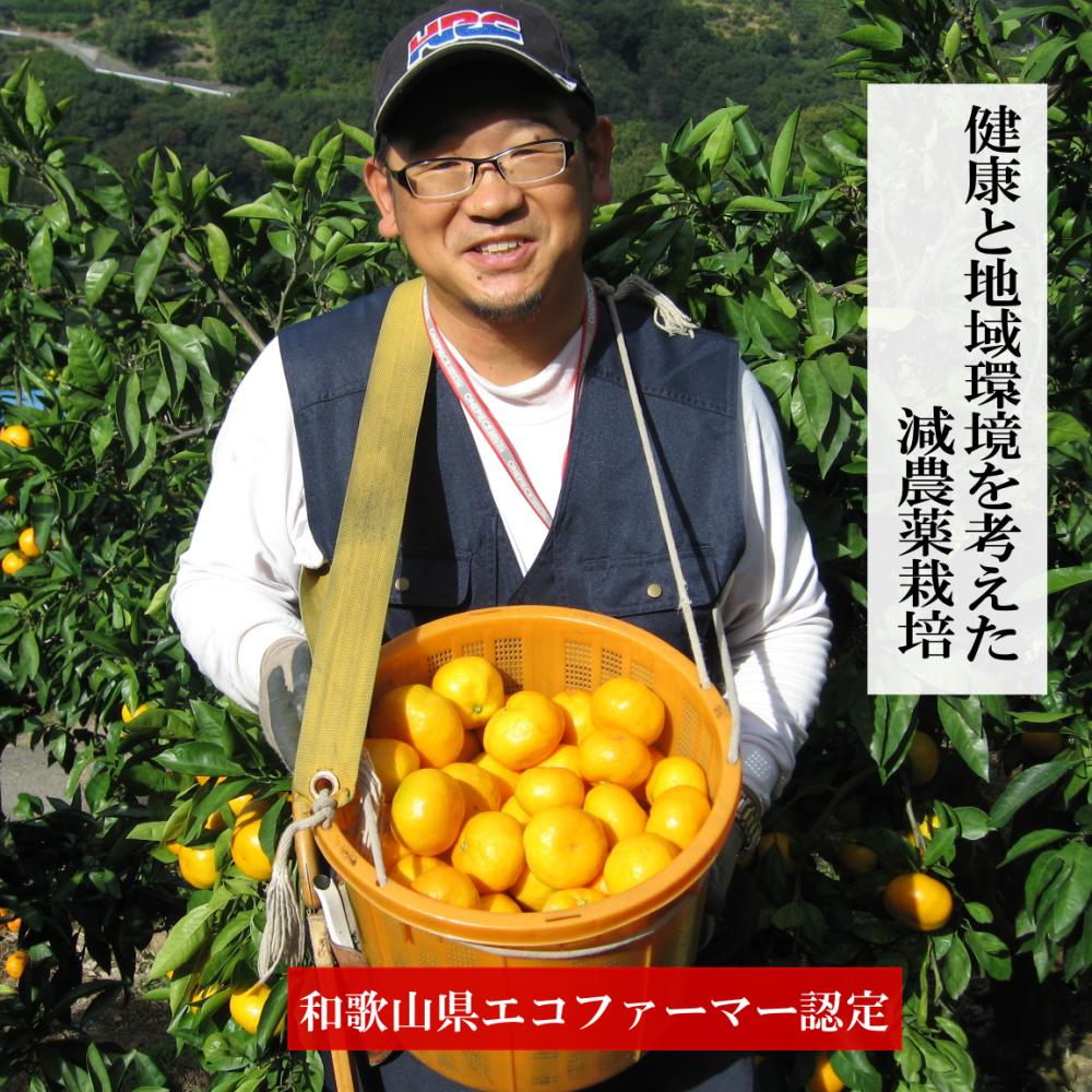 高糖度 和歌山県産 みかん 甘い有田みかん3kg  特選 皮ごと使える リピート率NO1ギフト糖度12度～ ギフト 温州みかん エコファーマー  高糖度 柔らかい　【送料無料(北海道、離島除く)】