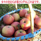 10月下旬よりスタート！大人気の林檎 真っ赤に熟れたりんごの酸味の旨さ最高！ 青森県産 りんご ジョナゴールド3kg～10kg  皮ごと丸かじり もりやま園 葉とらずりんご 青森県特別栽培認定 SDG`s 甘さと酸味