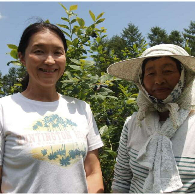 いわて純情りんご 蜜入りはるか/ご自宅用3kg、5kg   大人気の蜜入り林檎　爽やかな香りと甘味 産地直送  甘くて酸味が少ない (コピー)