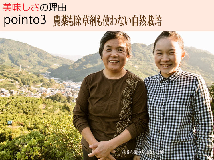 味香ん園の不知火（デコポン）5kg 有機減農薬 愛媛 産地直送 甘くて味の濃い みかんえん　皮はマーマレードやアロマバスにも！美味しいみかん デコポン