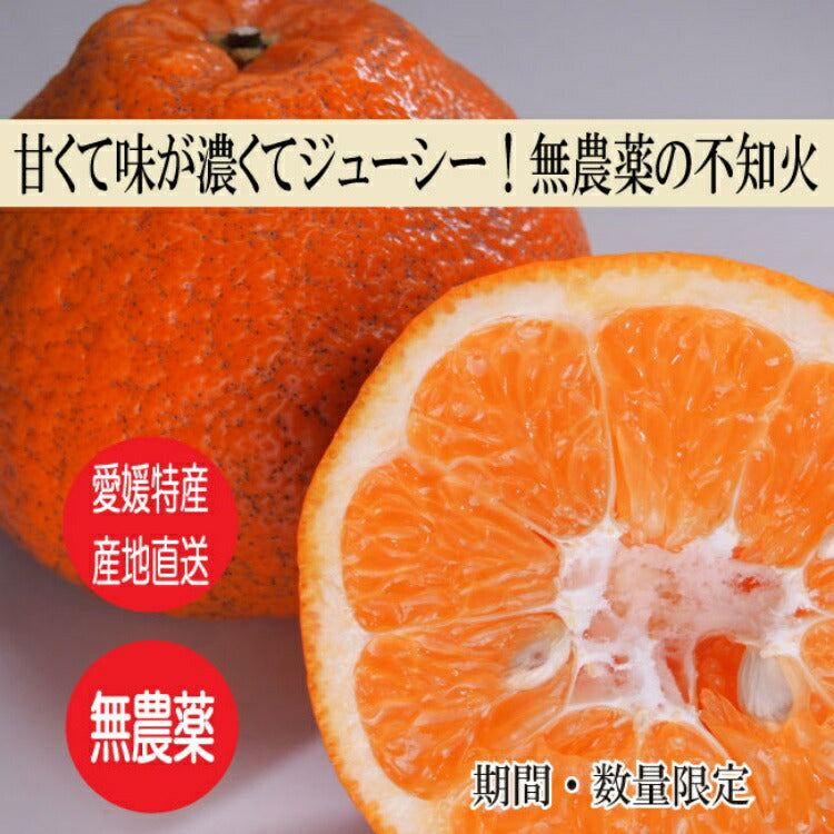 味香ん園の不知火（デコポン）5kg 有機減農薬 愛媛 産地直送 甘くて味の濃い みかんえん　皮はマーマレードやアロマバスにも！美味しいみかん デコポン