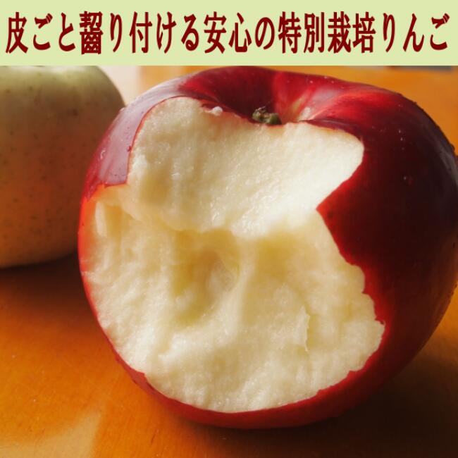 甘みと香りの林檎の王様！青森葉とらず林檎  りんご ！甘～い王林 酸味が少ない お子様に大人気 葉とらず林檎 皮ごと食べられる 青森県特別栽培認定  減農薬栽培 産地直送
