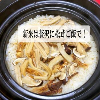 魚沼こしひかり/白米 5kg、10kg、新潟産  令和7年度産 こしひかり 棚田米 特別栽培 甘くてツヤツヤ 腐葉土を含む沢水育ち