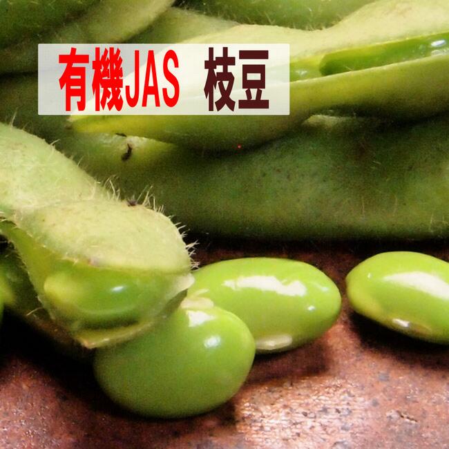 甘くて旨くて自然の恵みたっぷりの有機枝豆！銀河高原ファームの有機枝豆 1kg 群馬県 国産枝豆  有機JAS 朝採り 9月下旬まで えだまめ 枝豆 国産 有機 有機野菜 オーガニック 野菜 旬野菜 夏野菜