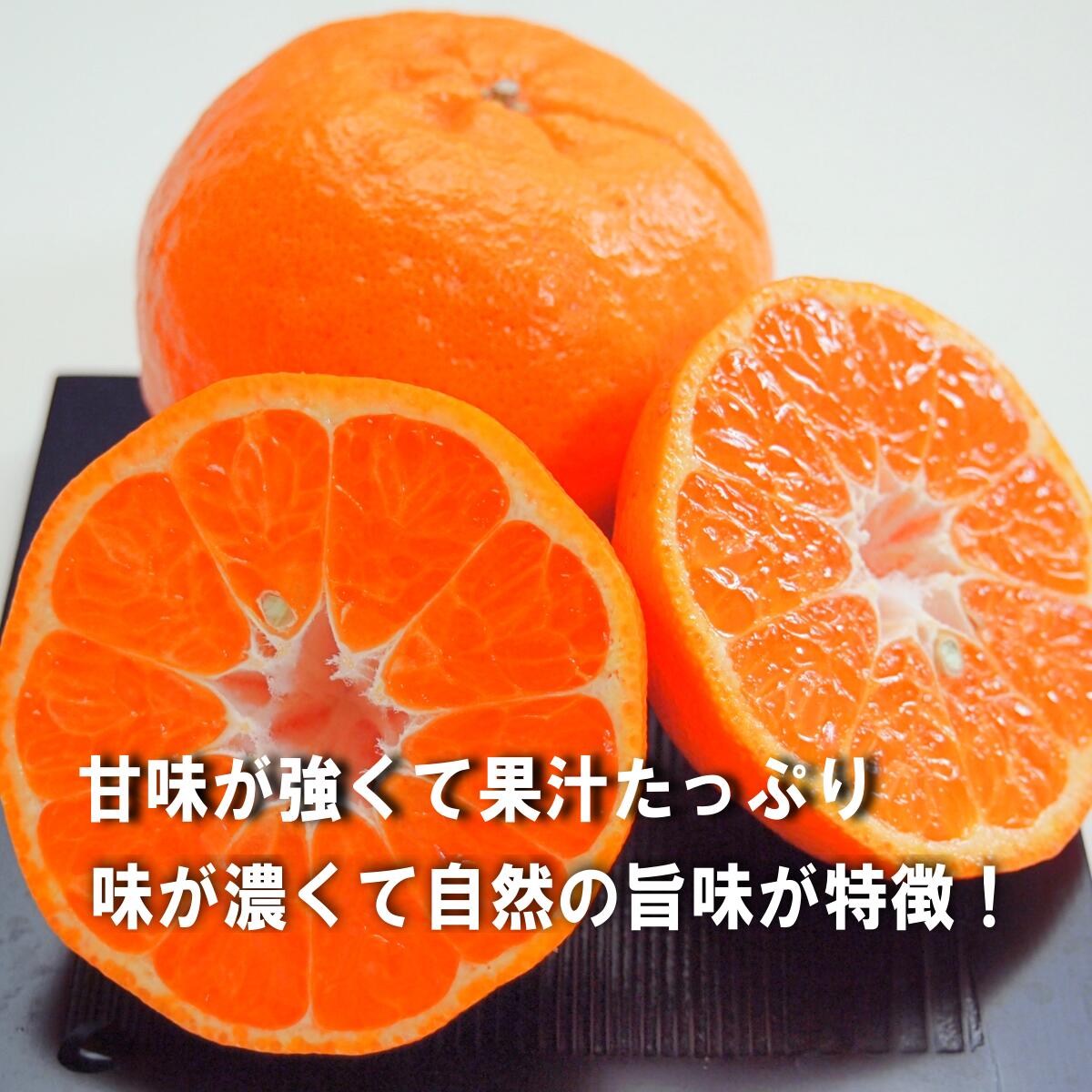 数量限定！ 味香ん園の無農薬ぽんかん5kg 愛媛 みかん 有機減農薬栽培 甘くてジューシーポンカン 産地直送 農薬不使用 数量期間限定品