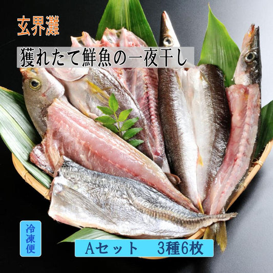 \ギフト/玄界灘の新鮮魚の一夜干しAセットー3種6枚  福岡県 干物 一夜干し 国産近海魚 敬老の日ギフト早割り 干物 福岡 化粧箱入り 産地直送 クールチルド便 贈り物 喜ばれる 美味しい