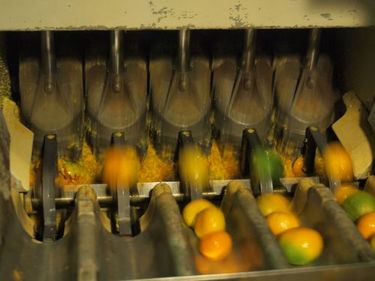 【フレッシュジュースのギフト】ジュース詰め合わせ 無農薬果汁果汁100％ ストレートジュース 720ml×４本  ギフト 味香ん園（みかんえん） お見舞い 快気祝い みかんジュース  無添加 無農薬 八幡浜 2～6種類 柑橘  100%