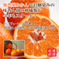 数量限定！５kg×10箱のみ！甘いみかん 味香ん園の有機減農薬伊予柑 5kg （16～23玉）甘味と酸味のバランス最高 味の濃いいよかん 皮までまるごと使えるエコフルーツ 無農薬 ノーワックス  皮はマーマレード 期間・数量限定