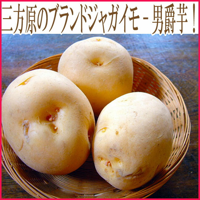 旨いジャガイモ三方ヶ原のジャガイモ/男爵イモ 5kg ,10kg たちばなファーム 男爵・きたあかり 新じゃがいも 静岡県 肌のきれいなジャガイモ  男爵いも  浜松 野菜 お取り寄せ ご当地