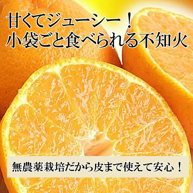 味香ん園の不知火（デコポン）5kg 有機減農薬 愛媛 産地直送 甘くて味の濃い みかんえん　皮はマーマレードやアロマバスにも！美味しいみかん デコポン
