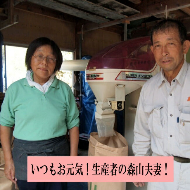 魚沼コシヒカリ/玄米5kg,10kg   令和7年度産 新潟産 こしひかり 棚田米 特別栽培 甘くてツヤツヤ 腐葉土を含む沢水育ち